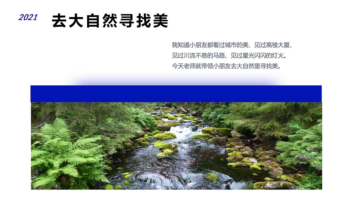 学前教育大班《以新的视角画蘑菇》课件第3页