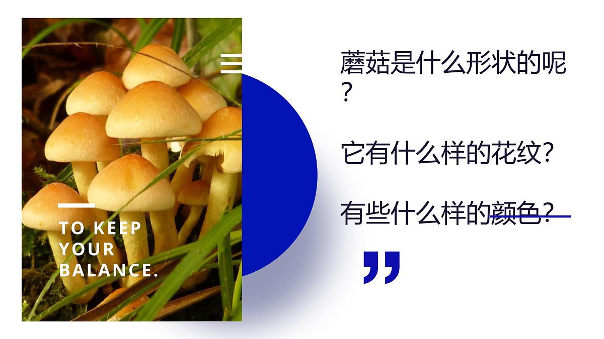 学前教育大班《以新的视角画蘑菇》课件第6页