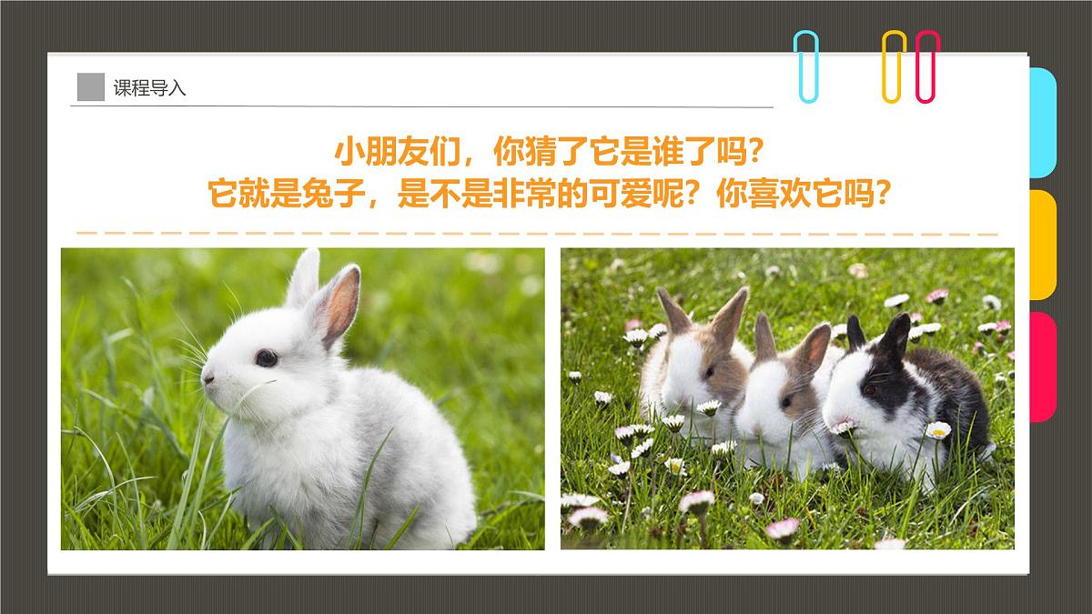 学前教育大班《温暖的怀抱》课件第5页