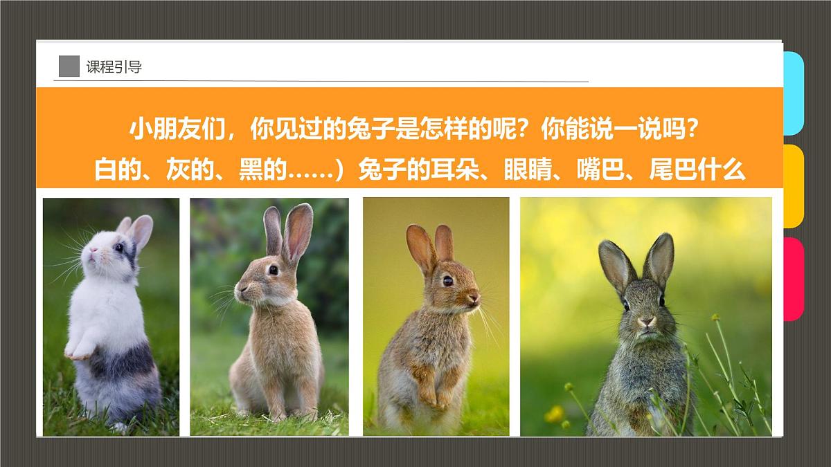 学前教育大班《温暖的怀抱》课件第6页
