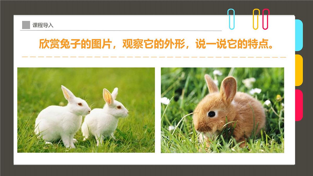 学前教育大班《温暖的怀抱》课件第7页