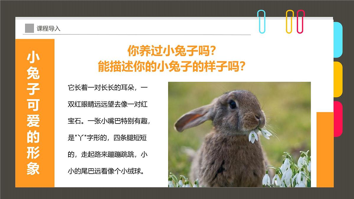 学前教育大班《温暖的怀抱》课件第8页