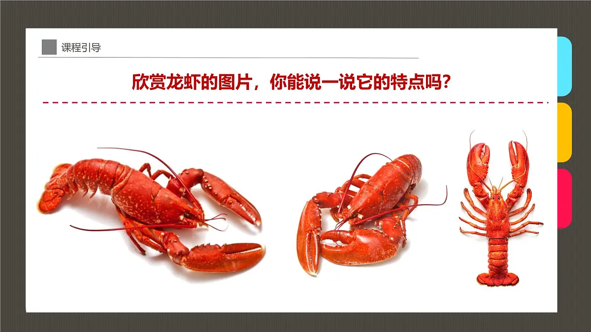 学前教育大班《一盘香喷喷的大龙虾》课件第7页