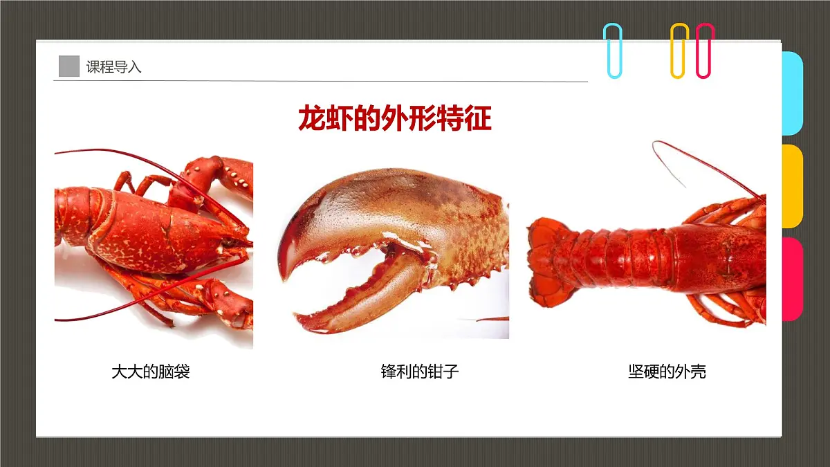 学前教育大班《一盘香喷喷的大龙虾》课件第8页