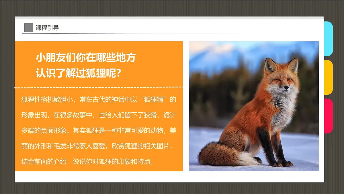 学前教育大班《丛林里的小狐狸》课件第6页