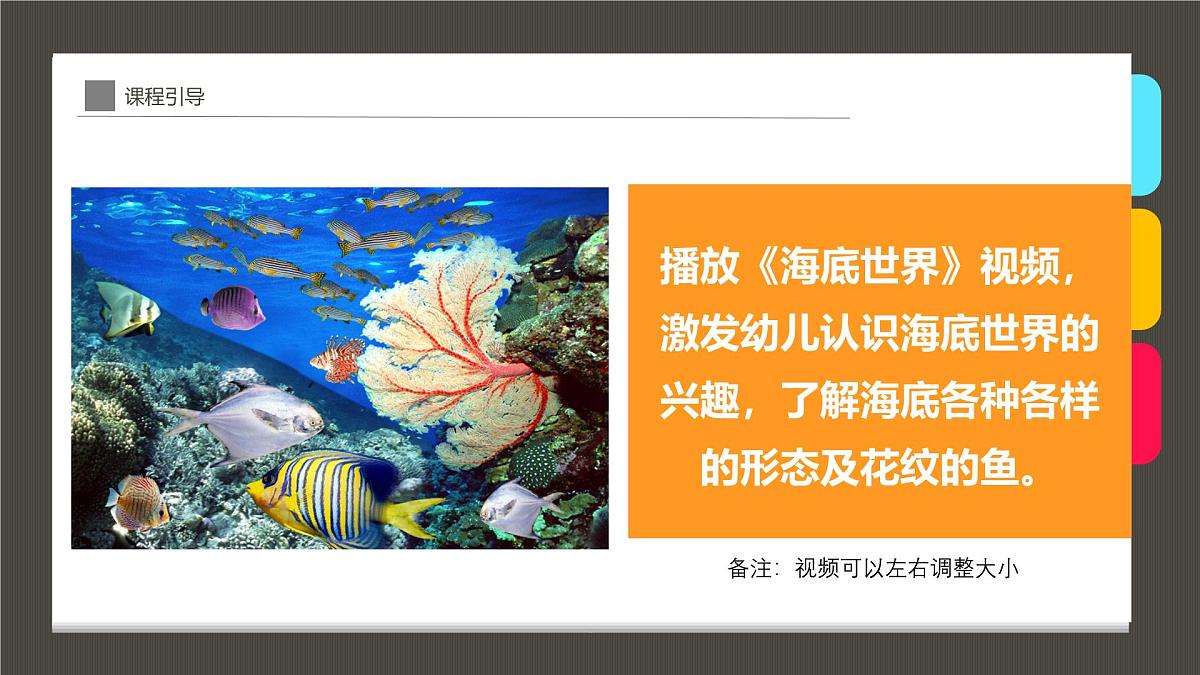 学前教育大班《“水中的活化石”龙鱼》课件第4页