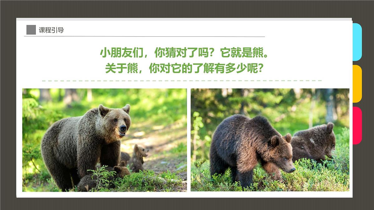 学前教育大班《Hi，我是小熊宝宝！》课件第5页