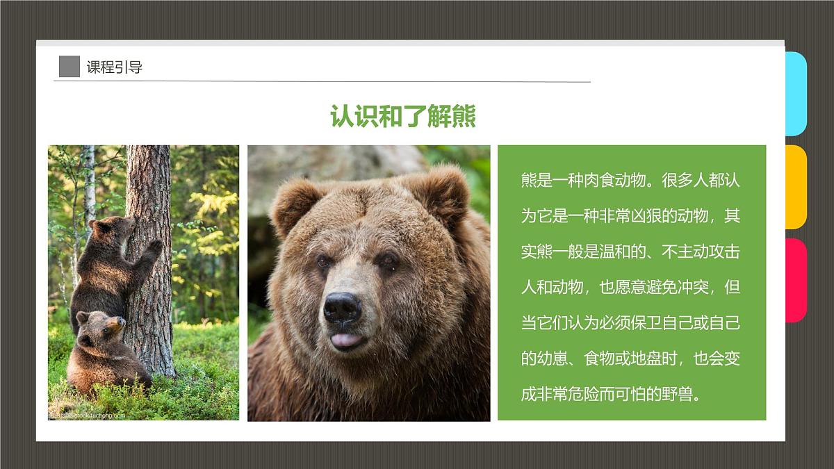 学前教育大班《Hi，我是小熊宝宝！》课件第6页