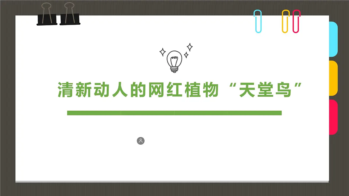 学前教育大班《清新动人的网红植物“天堂鸟”》课件第1页