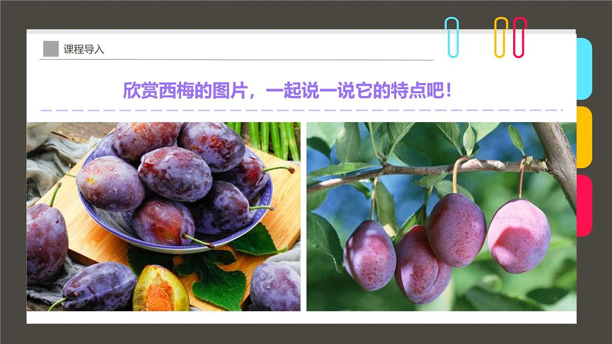 学前教育大班《趣画“奇迹水果”西梅》课件第7页