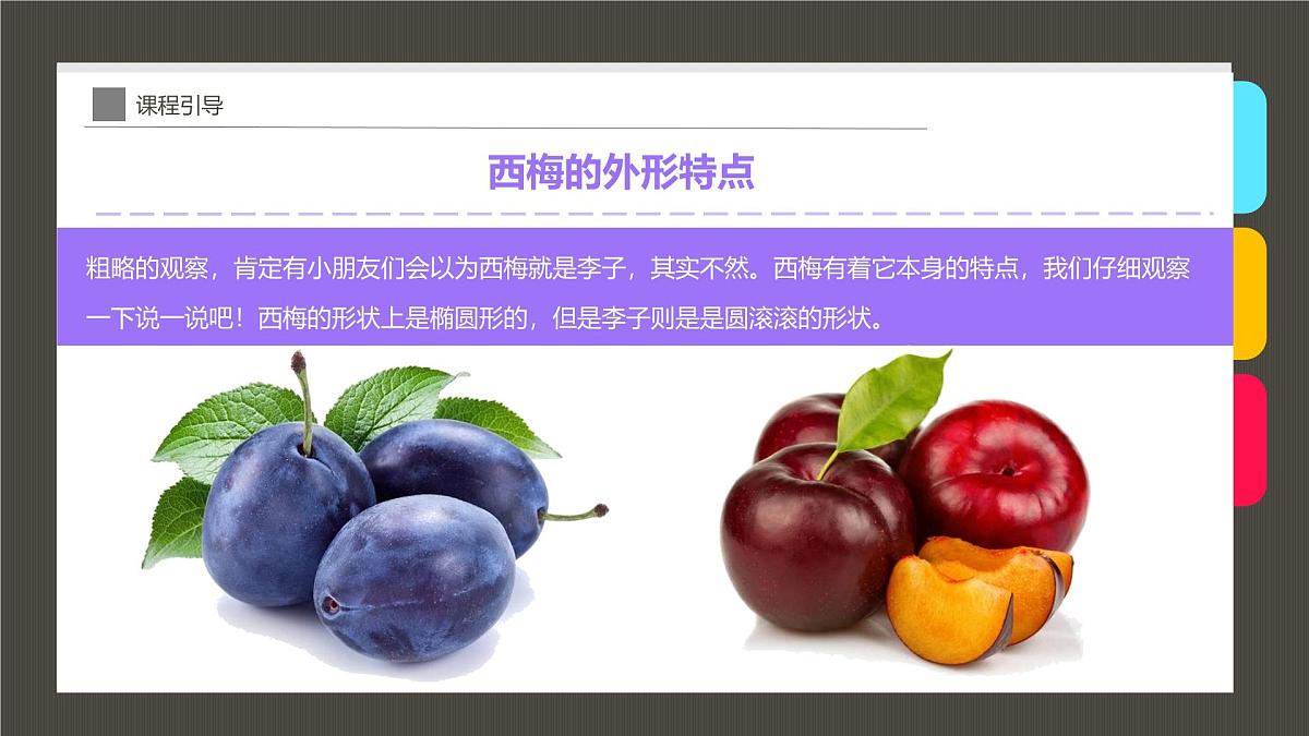学前教育大班《趣画“奇迹水果”西梅》课件第8页