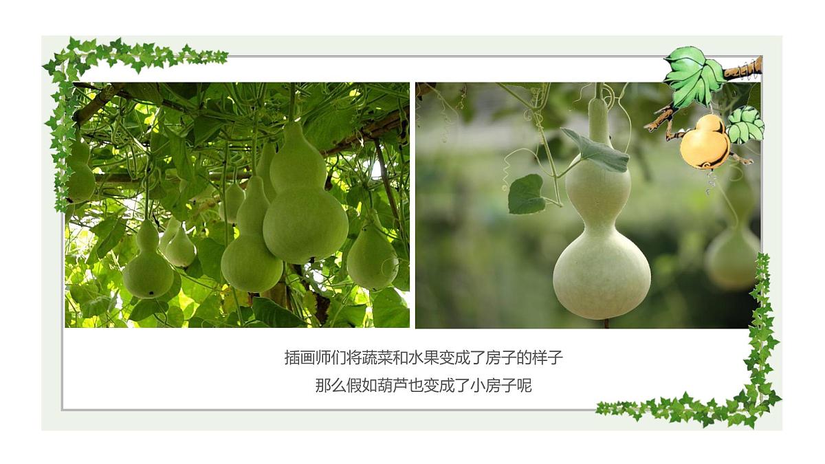 学前教育大班《葫芦》课件第5页