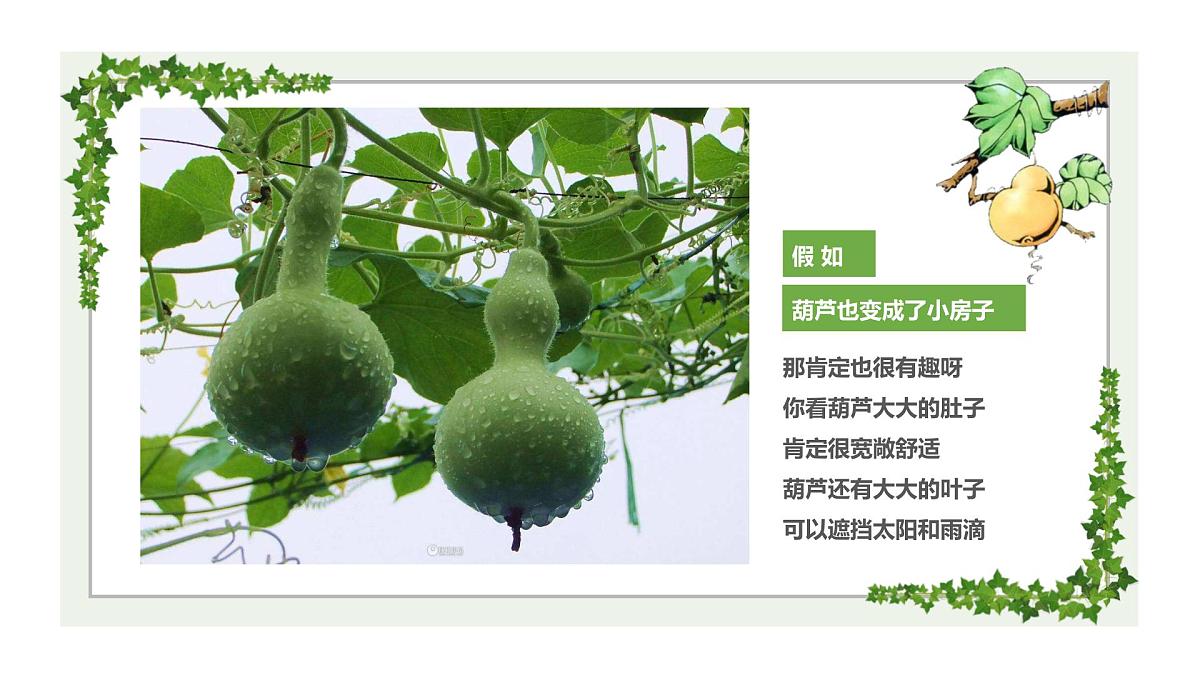 学前教育大班《葫芦》课件第6页
