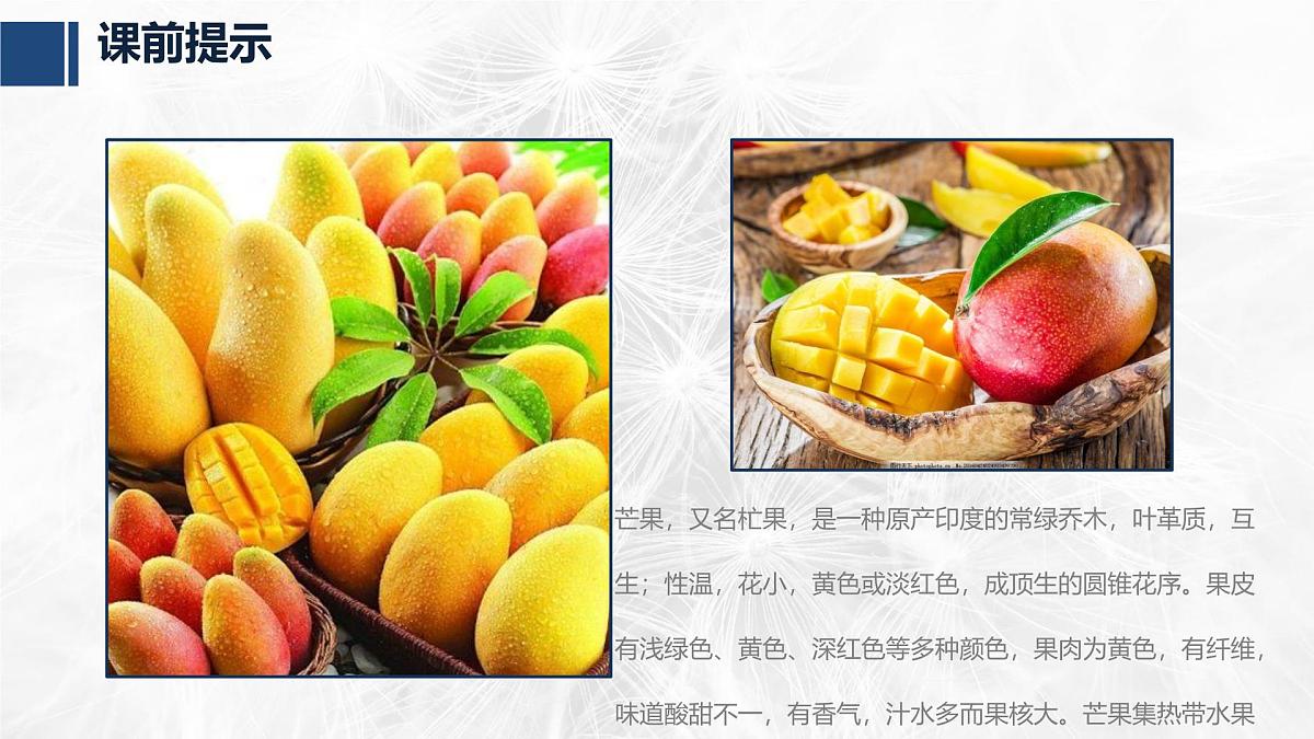 学前教育大班《芒果》课件第3页