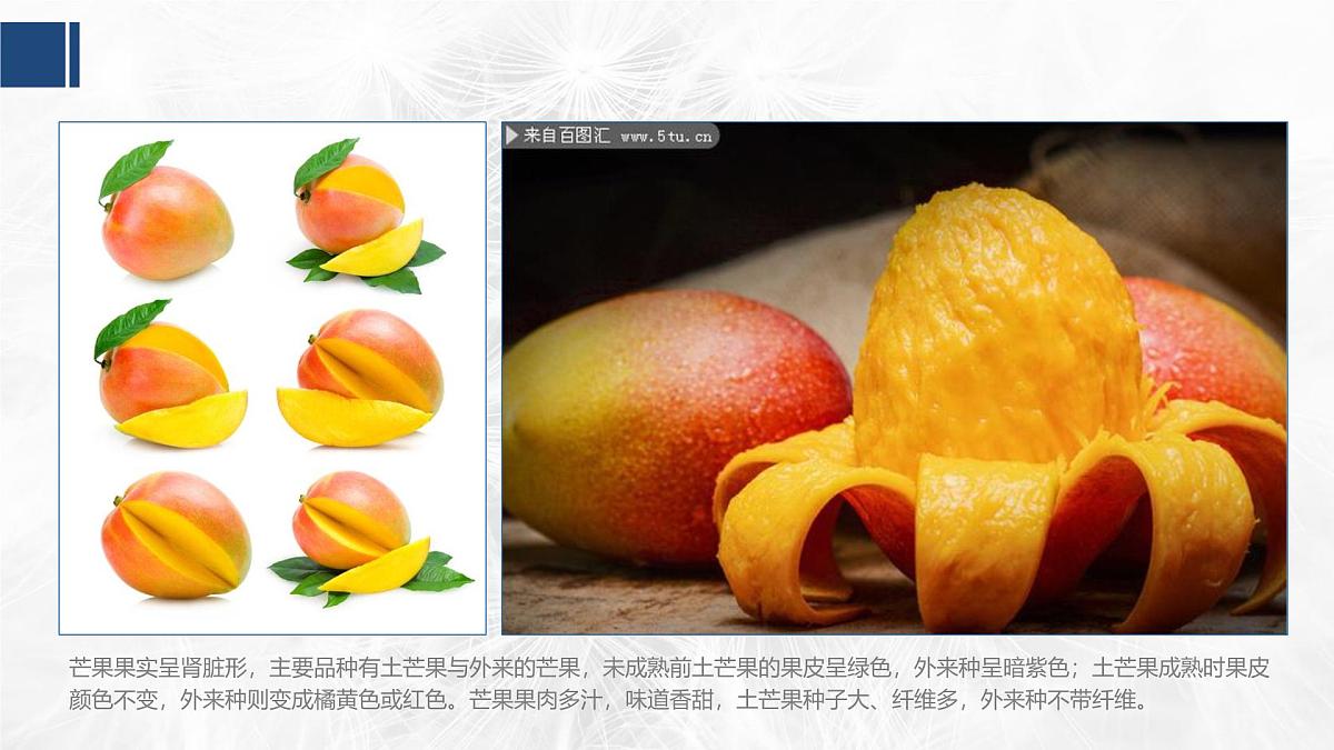 学前教育大班《芒果》课件第5页