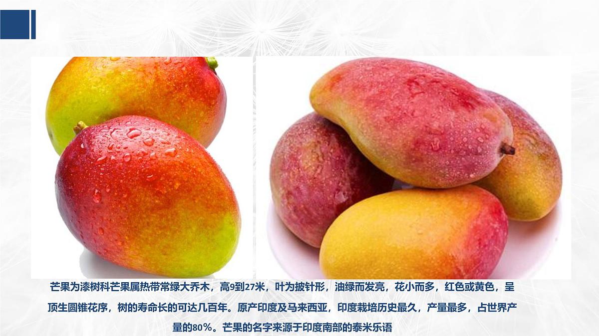 学前教育大班《芒果》课件第7页