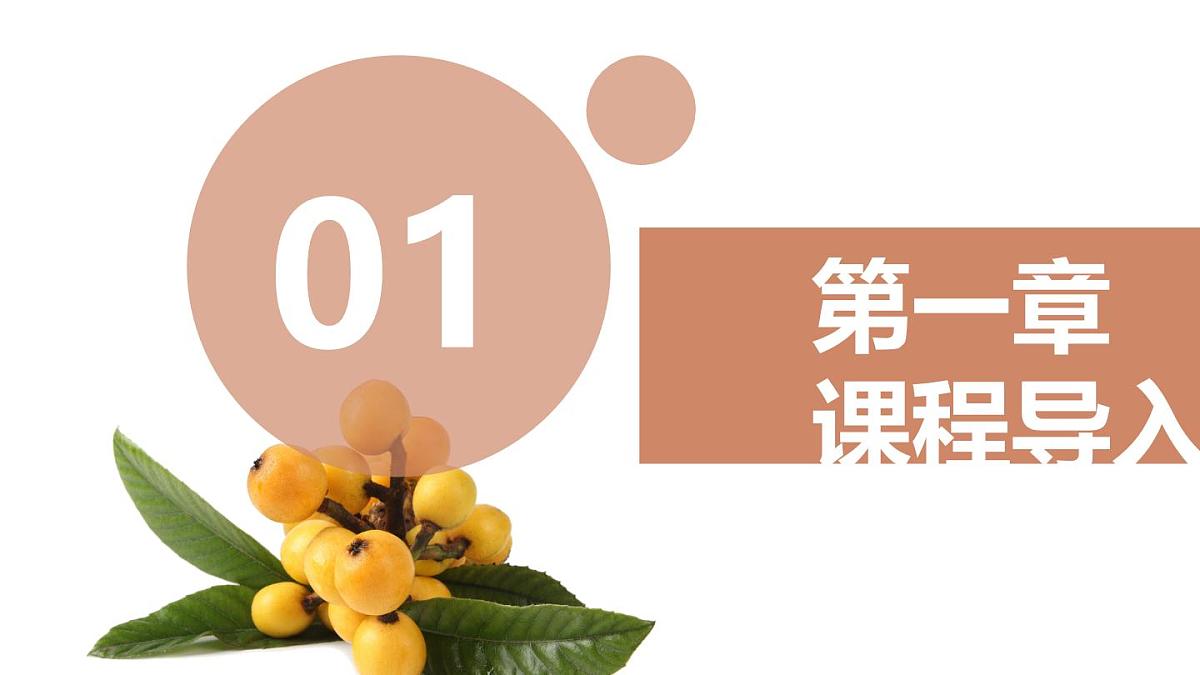 学前教育大班《枇杷》课件第2页