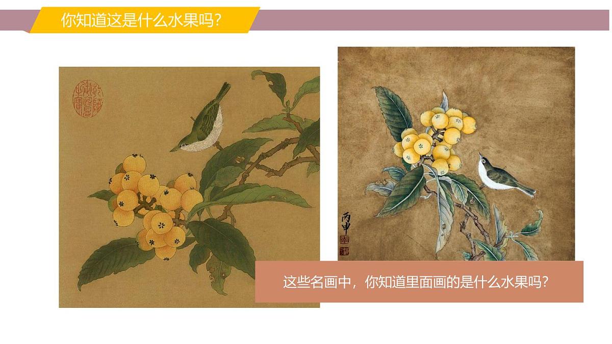 学前教育大班《枇杷》课件第3页