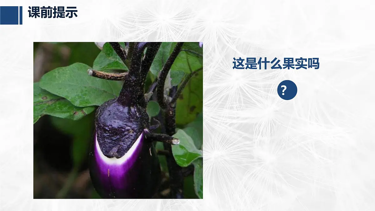 学前教育大班《茄子》课件第2页