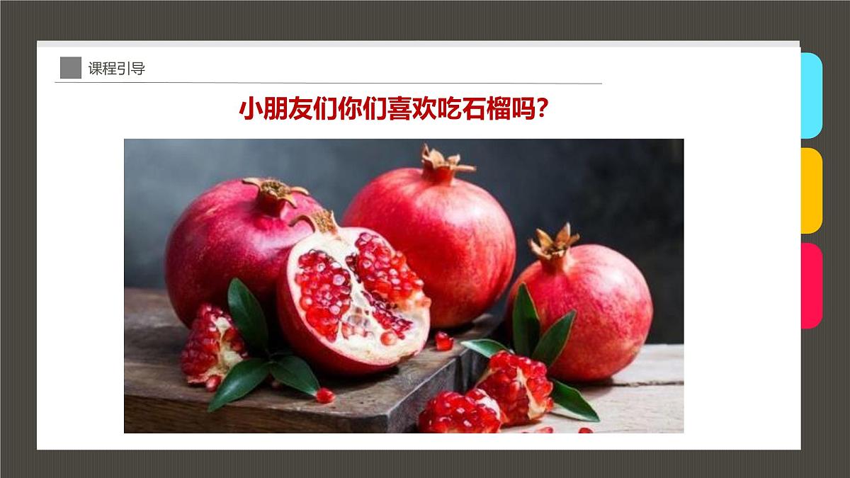 学前教育大班《石榴》课件第4页