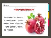 學(xué)前教育大班《石榴》課件