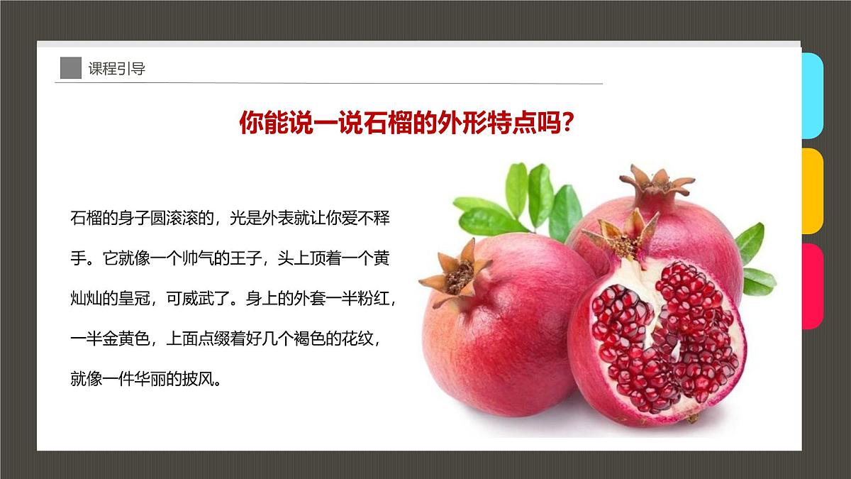 学前教育大班《石榴》课件第5页