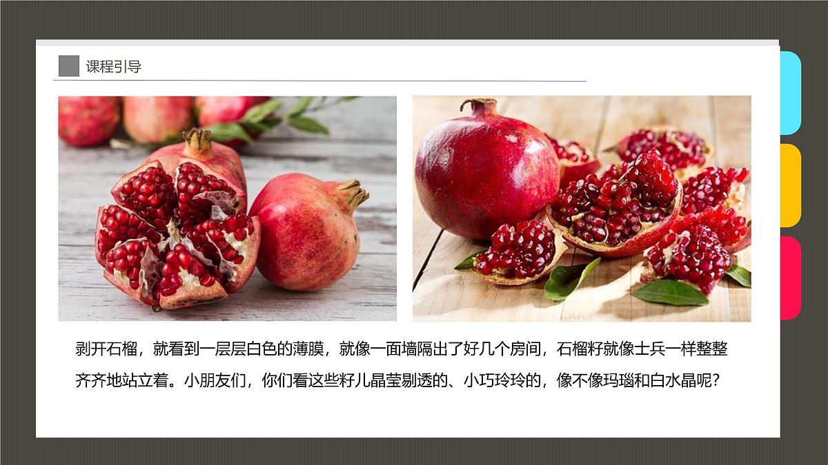 学前教育大班《石榴》课件第6页