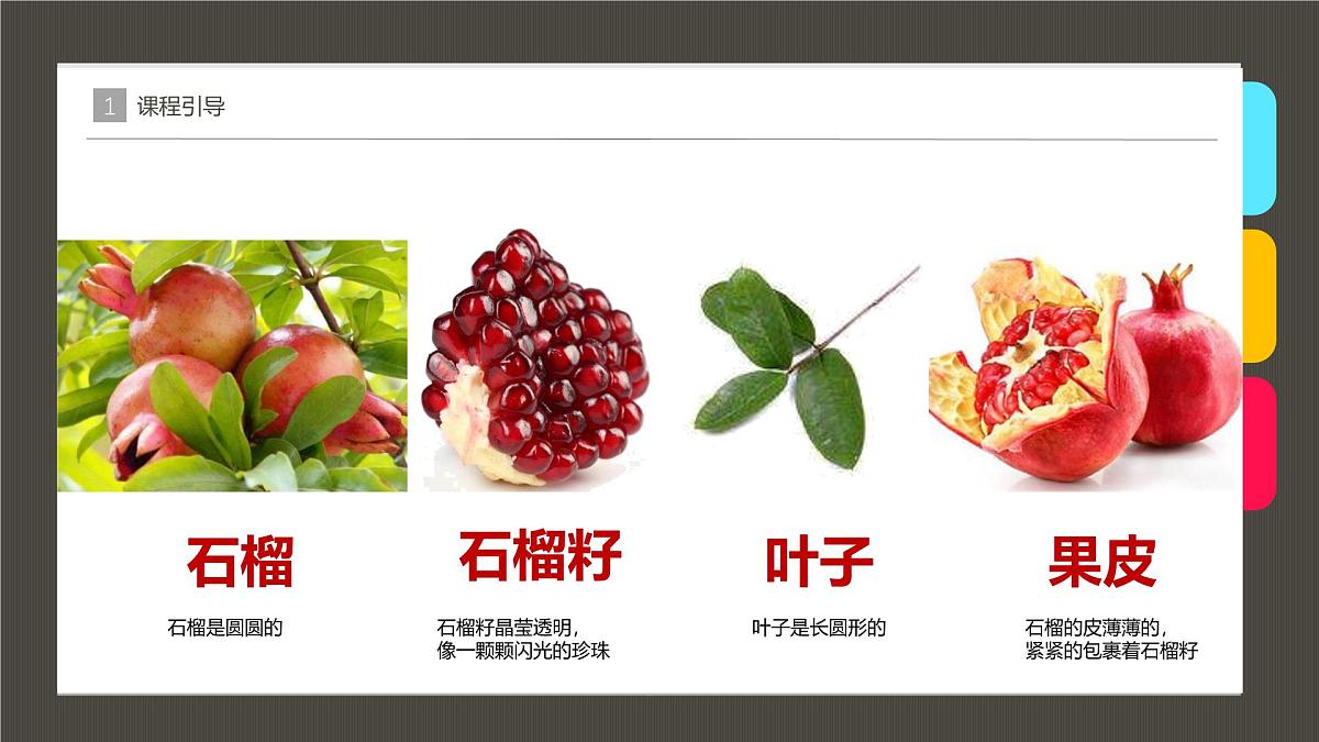 学前教育大班《石榴》课件第7页