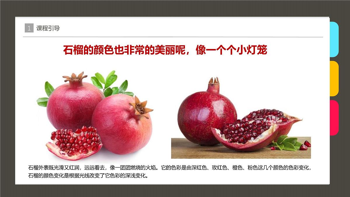 学前教育大班《石榴》课件第8页
