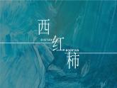學(xué)前教育大班《西紅柿》課件