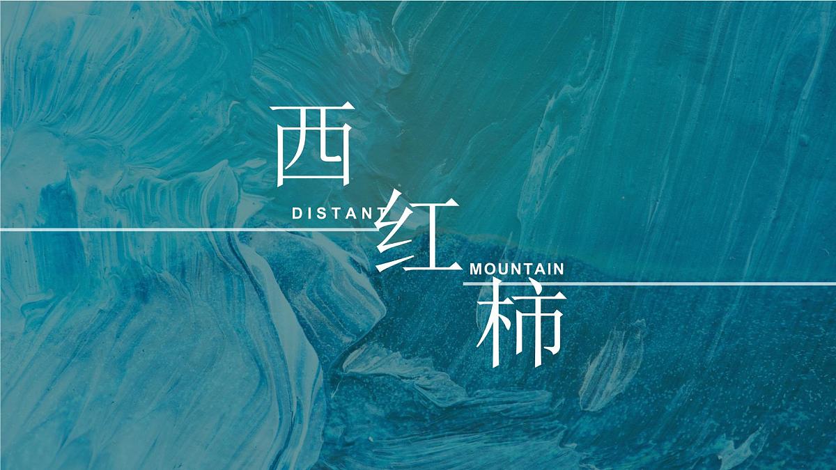 学前教育大班《西红柿》课件第1页