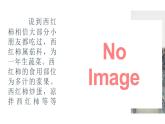 學(xué)前教育大班《西紅柿》課件