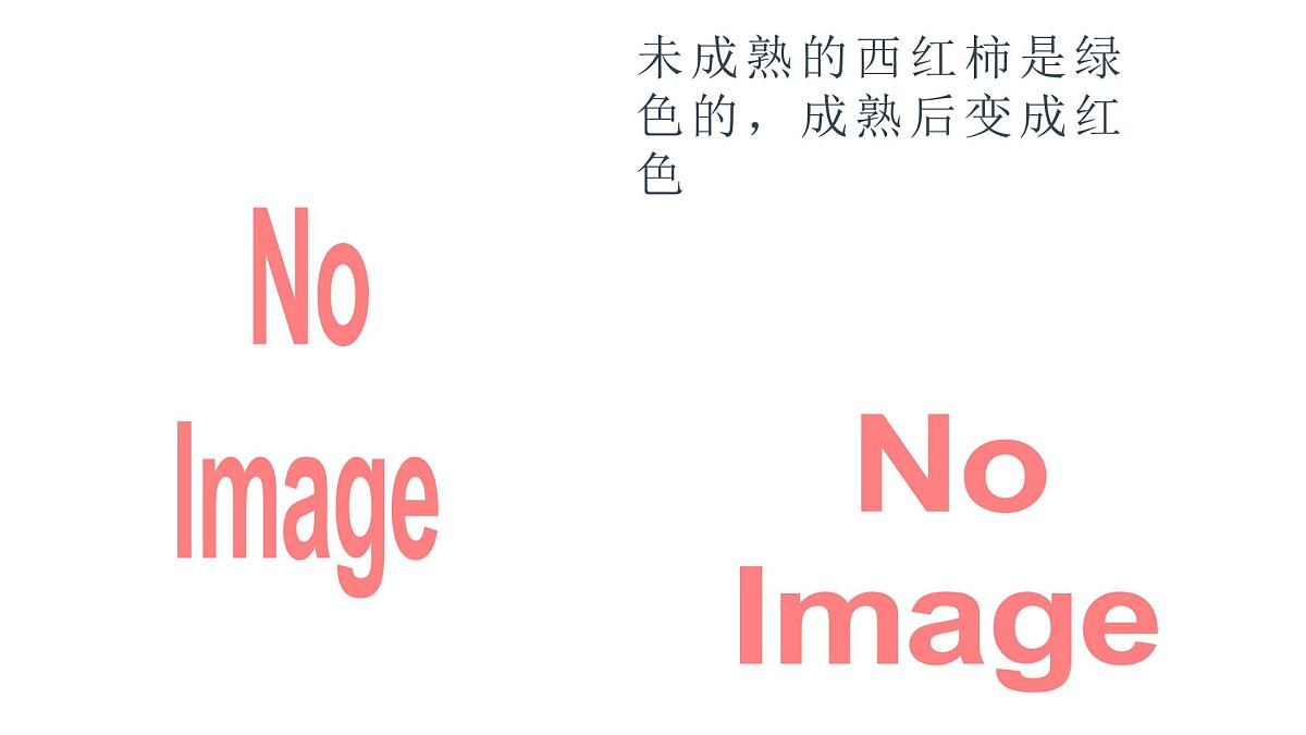 学前教育大班《西红柿》课件第3页