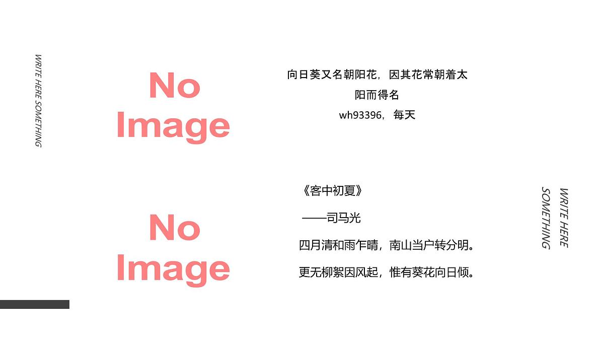 学前教育大班《向日葵》课件第3页