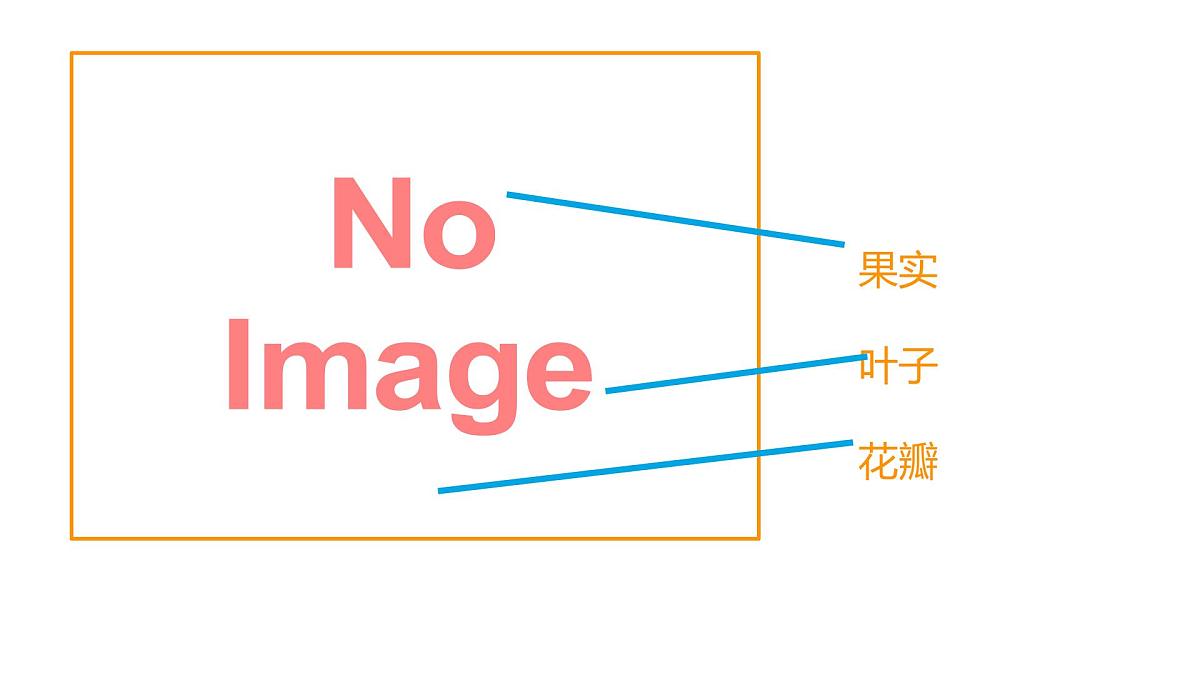 学前教育大班《向日葵》课件第5页