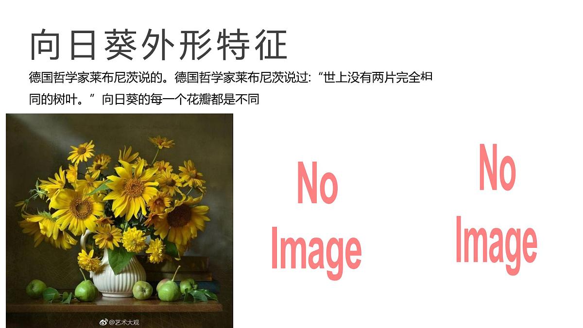 学前教育大班《向日葵》课件第6页