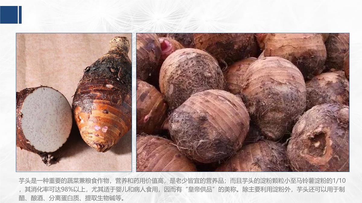 学前教育大班《芋头》课件第5页