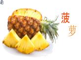學(xué)前教育大班《菠蘿》課件