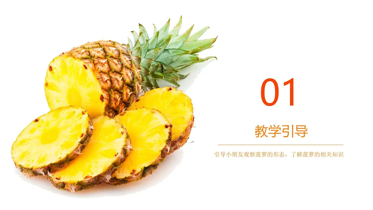 学前教育大班《菠萝》课件第2页
