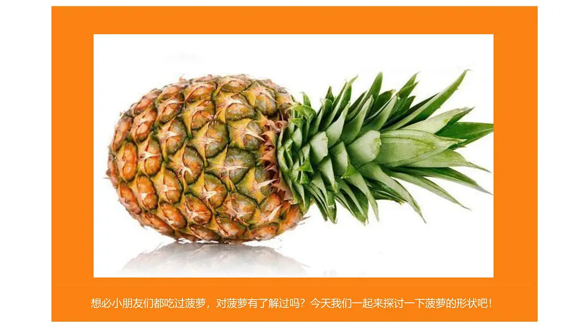 学前教育大班《菠萝》课件第3页