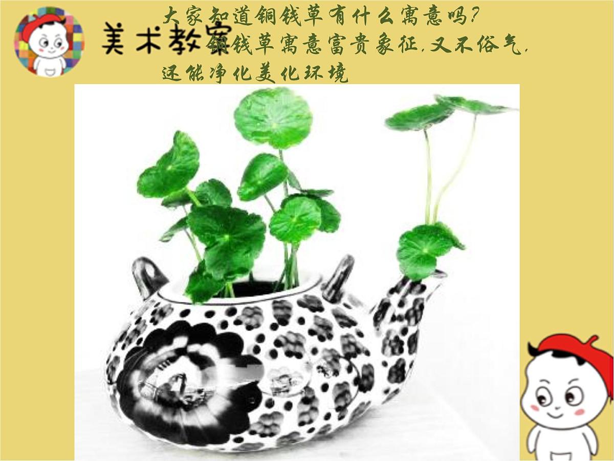 学前教育大班《铜钱草》课件第3页
