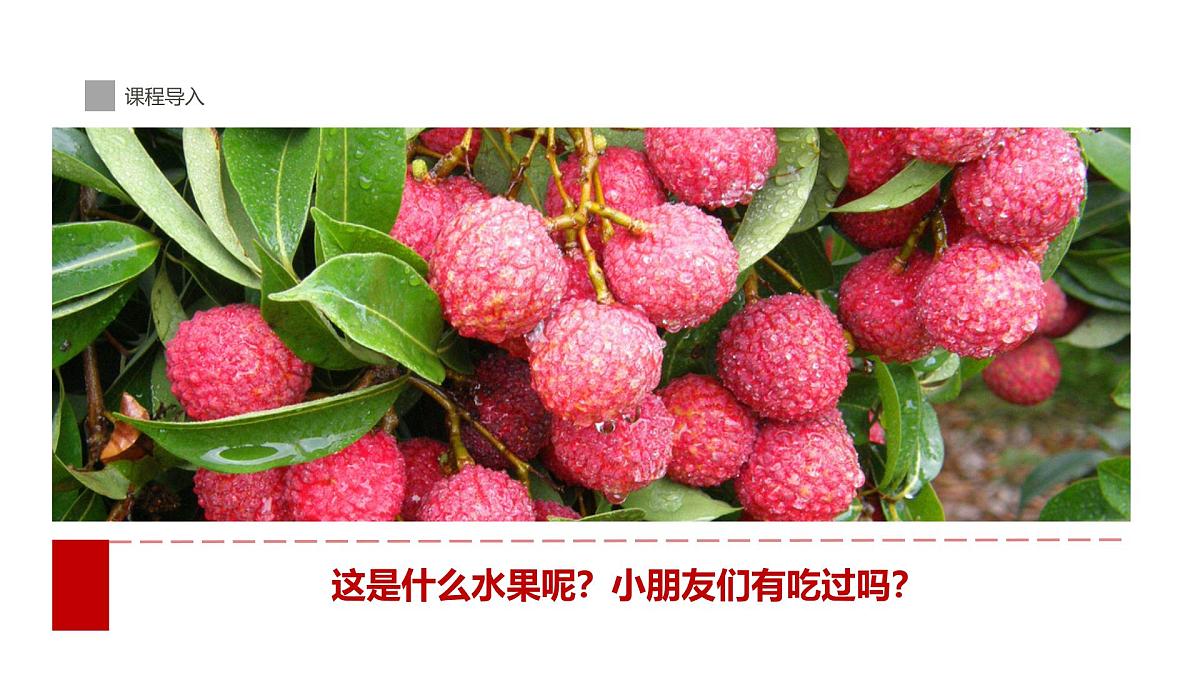 学前教育大班《荔枝熟了》课件第4页