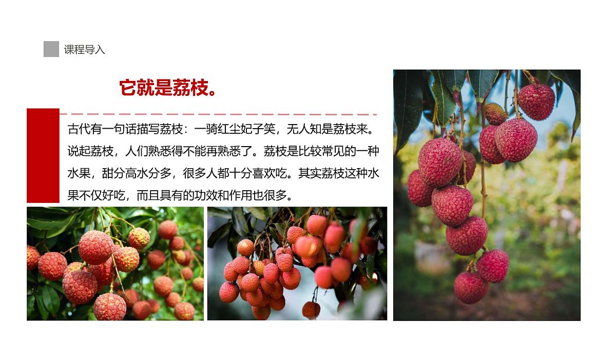 学前教育大班《荔枝熟了》课件第5页