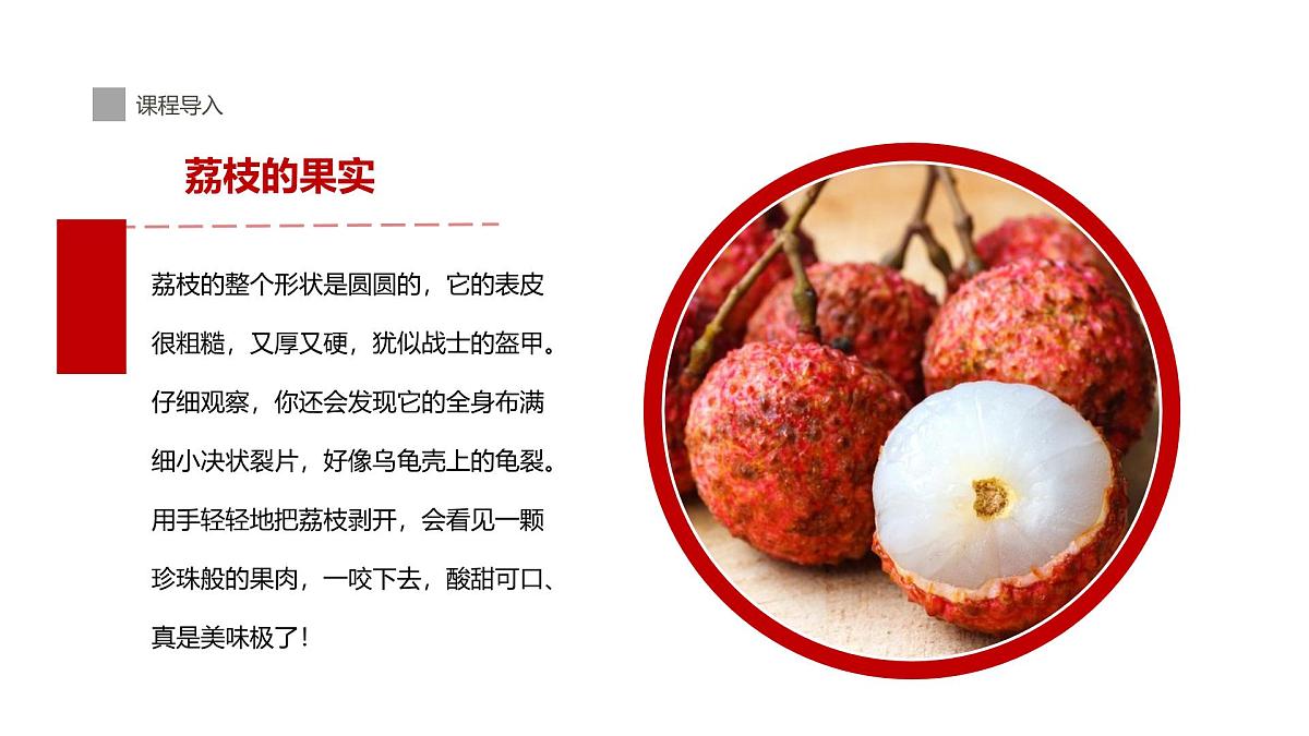 学前教育大班《荔枝熟了》课件第8页