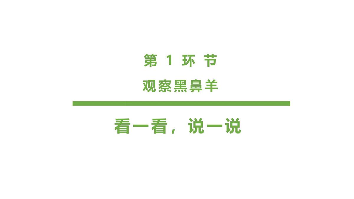 学前教育大班《羊咩咩》课件第3页