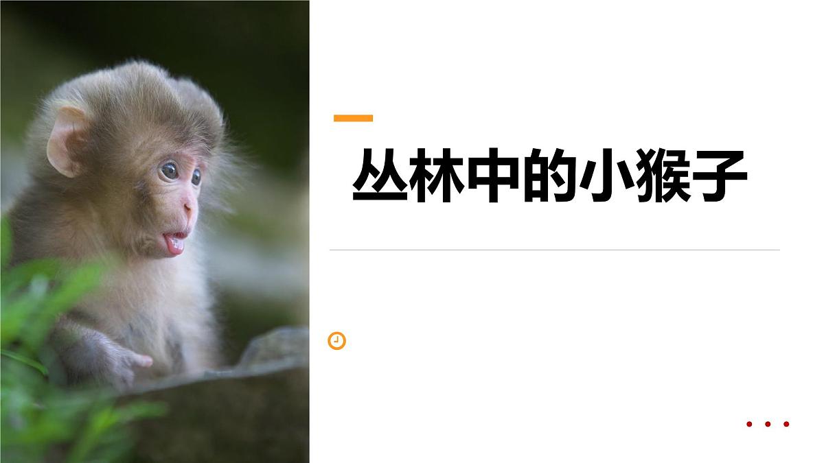 学前教育大班《丛林中的小猴子》课件第1页