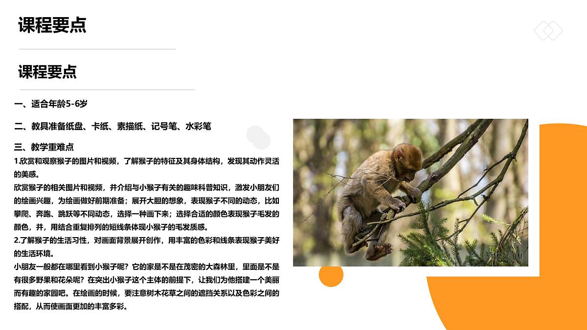 学前教育大班《丛林中的小猴子》课件第2页