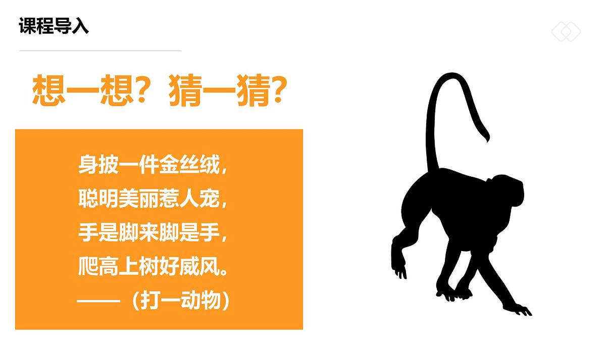 学前教育大班《丛林中的小猴子》课件第4页