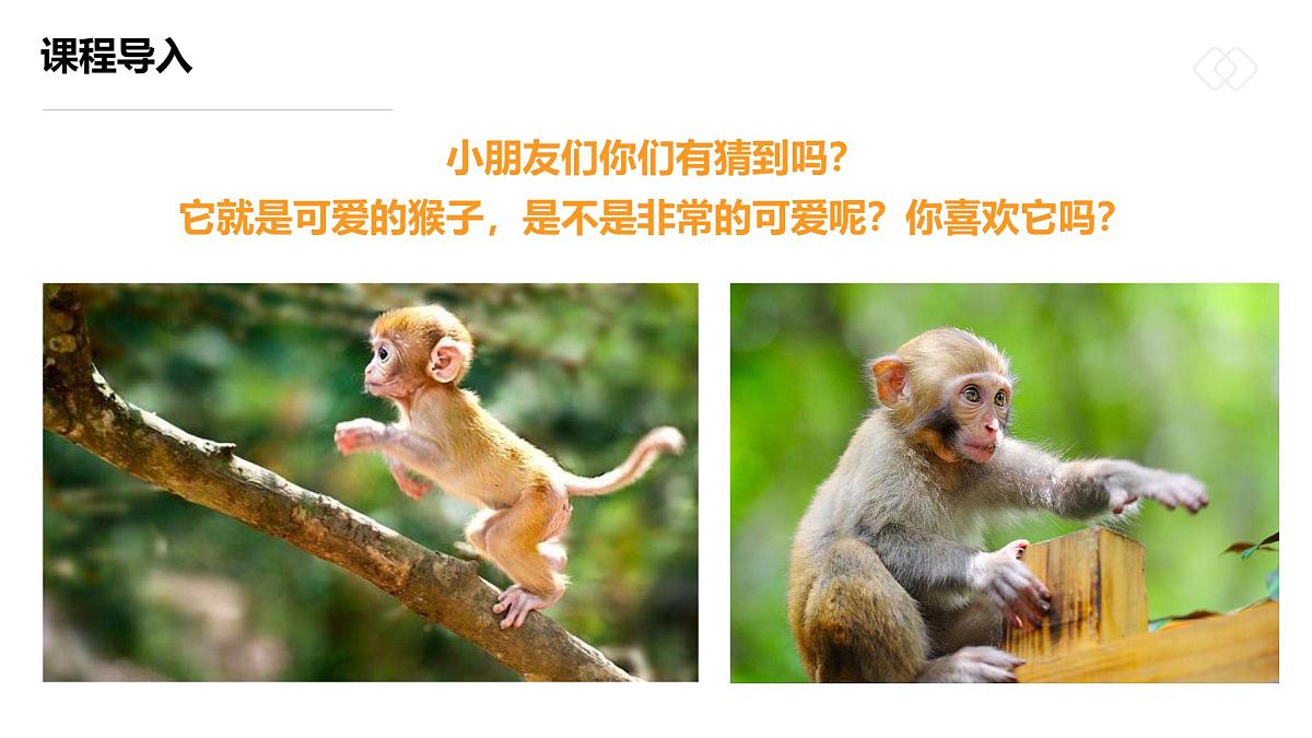 学前教育大班《丛林中的小猴子》课件第5页