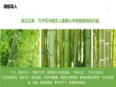 學(xué)前教育大班《雪中翠竹》課件